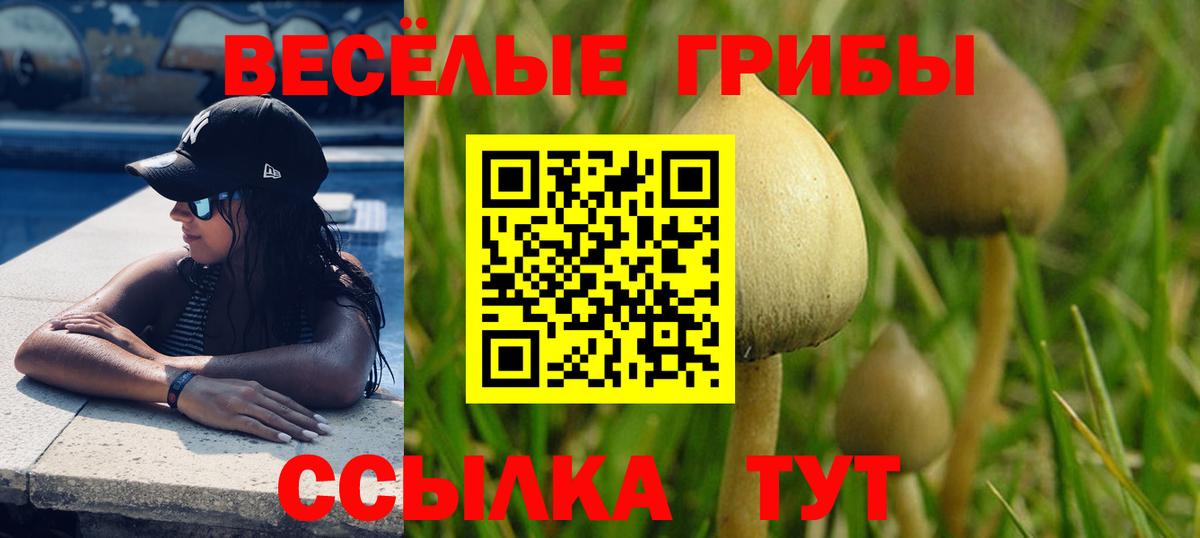 ГАШИШ  Кокаин  Тихвин  Alpha PVP СОЛЬ   ТГК  Меф МЯУ МЯУ кристаллы  Вход с VPN  ГАШИШ 