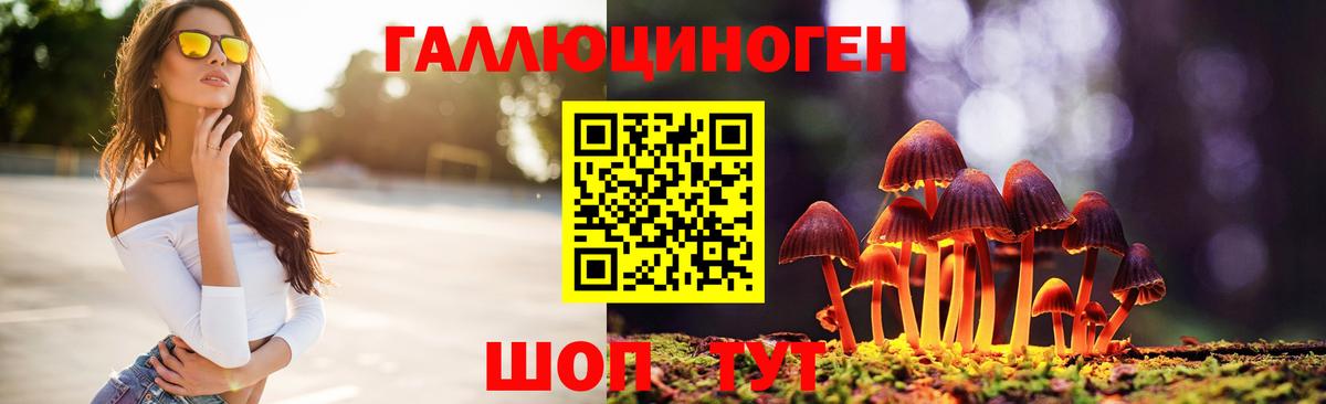 Тихвин  Галлюциногенные грибы прущие грибы  Вход с VPN  Псилоцибиновые грибы GOLDEN TEACHER 